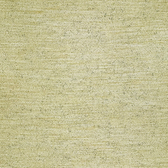 Rembrandt Infinity