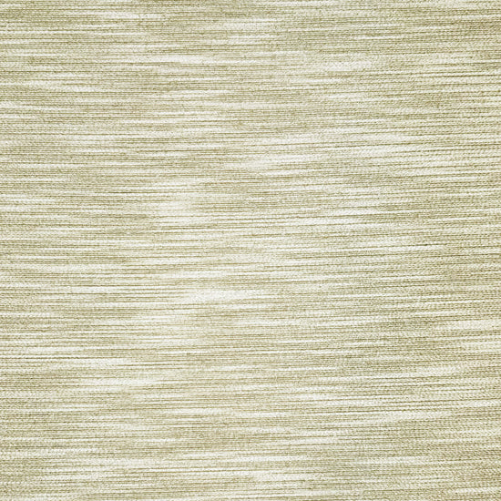 Rembrandt Parchment