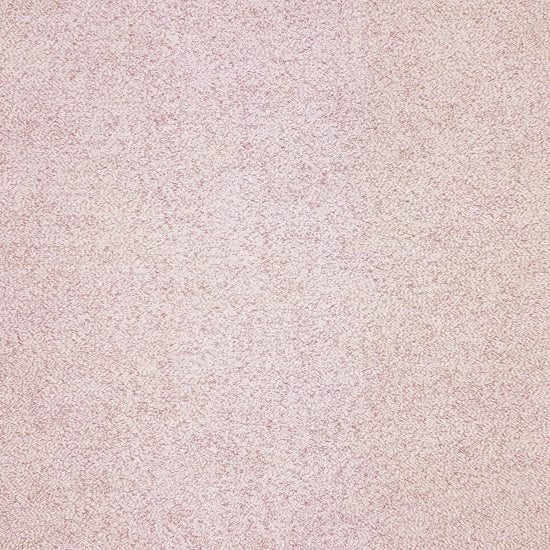 Rembrandt Sepia Rose