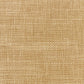 Savanna Buff