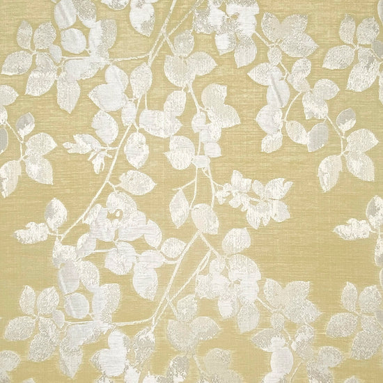 Cameron Ochre