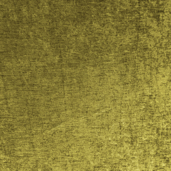 Velvetti Oliva
