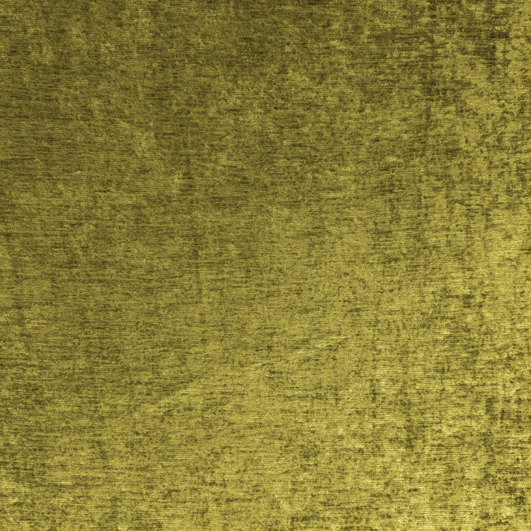 Velvetti Oliva